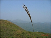 Thumbnail of M03_1002.jpg