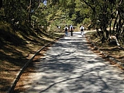 Thumbnail of M07_1_040.jpg