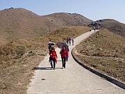 Thumbnail of M08_084.JPG