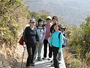 Thumbnail of C_004.jpg