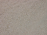 Thumbnail of IMG_1531.JPG
