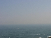 Thumbnail of IMG_1556.JPG