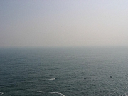 Thumbnail of IMG_1570.JPG