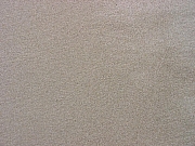 Thumbnail of IMG_1590.JPG