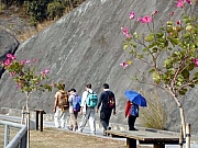 Thumbnail of M09_084_行行重行行.jpg