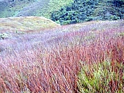 Thumbnail of 068.jpg