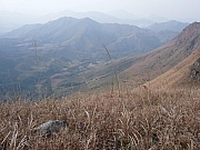 Thumbnail of P1110055.JPG