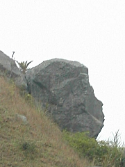 Thumbnail of DSCN0025.JPG