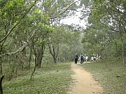 Thumbnail of DSCN0055.JPG