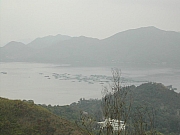 Thumbnail of DSCN8019.JPG