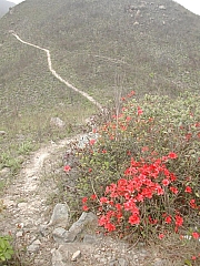Thumbnail of DSCN8098.JPG
