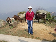 Thumbnail of P4040093.JPG