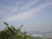 Thumbnail of DSCN9083.JPG