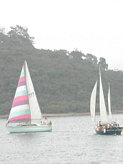 Thumbnail of DSCN9493.JPG