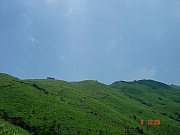 Thumbnail of DSC00318.JPG