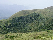 Thumbnail of P5090049.JPG