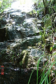 Thumbnail of PIC_0013.JPG