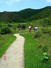 Thumbnail of 71130034.JPG