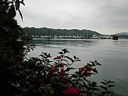Thumbnail of DSCN9688.JPG