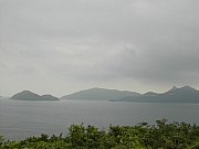 Thumbnail of DSCN9703.JPG