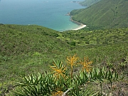 Thumbnail of PICT0079.JPG