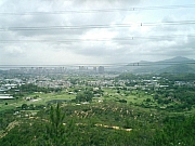 Thumbnail of pic_Candy_07.JPG