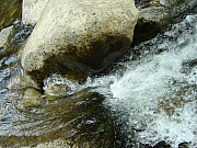 Thumbnail of DSC01578.JPG
