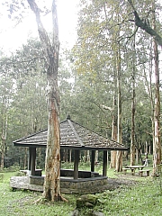 Thumbnail of DSCN0265.JPG