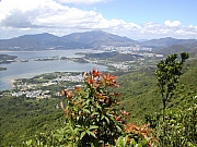 Thumbnail of DSCN0410.JPG