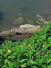 Thumbnail of Jeny_082.JPG