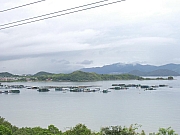 Thumbnail of P8220049.JPG