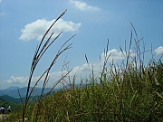 Thumbnail of DSC02204.JPG