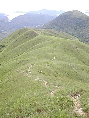 Thumbnail of DSCN0781.JPG
