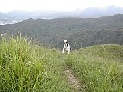 Thumbnail of DSCN0783.JPG