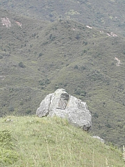 Thumbnail of DSCN0794.JPG