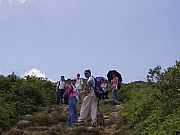 Thumbnail of P9050045.JPG