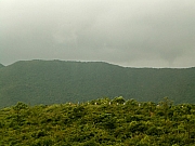 Thumbnail of P9190047.JPG
