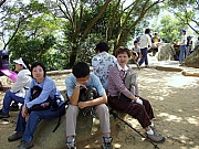Thumbnail of PA030117.JPG