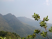 Thumbnail of DSCN1031.JPG
