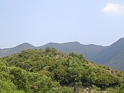 Thumbnail of DSCN1034.JPG