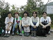 Thumbnail of DSCN1147.JPG