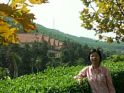 Thumbnail of PICT0104.JPG