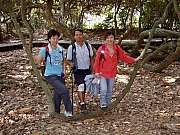Thumbnail of PA310094.JPG