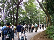 Thumbnail of PB140004.JPG