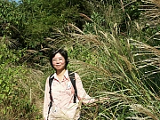 Thumbnail of PICT0123.JPG