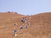 Thumbnail of PB210093.JPG