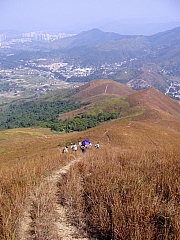 Thumbnail of PB210108.JPG