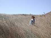 Thumbnail of DSCN1838.JPG