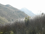 Thumbnail of DSCN1852.JPG