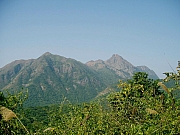 Thumbnail of PC120024.JPG